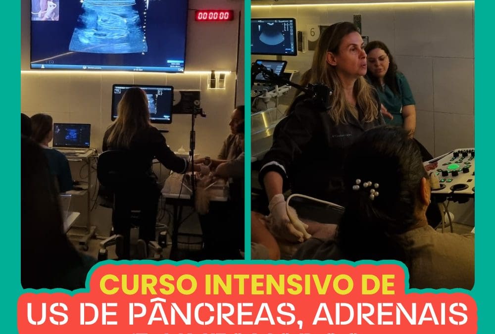 Curso de Ultrassonografia de Pâncreas, Adrenais e Linfonodos