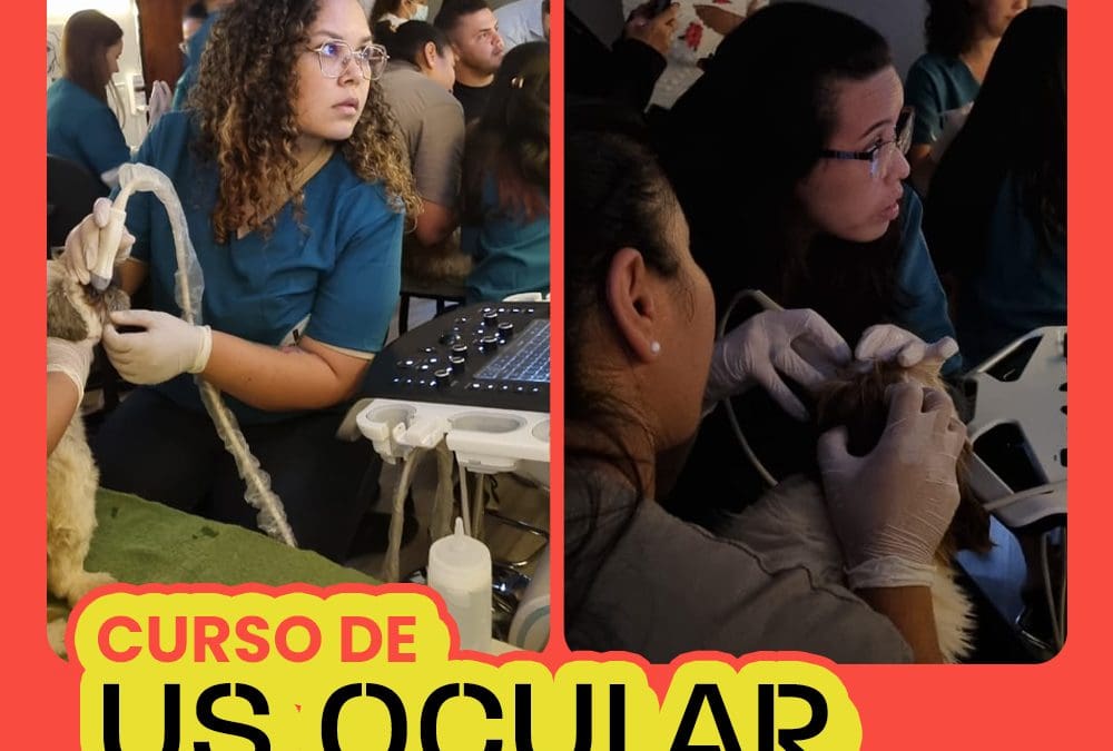 Curso de Ultrassonografia Ocular