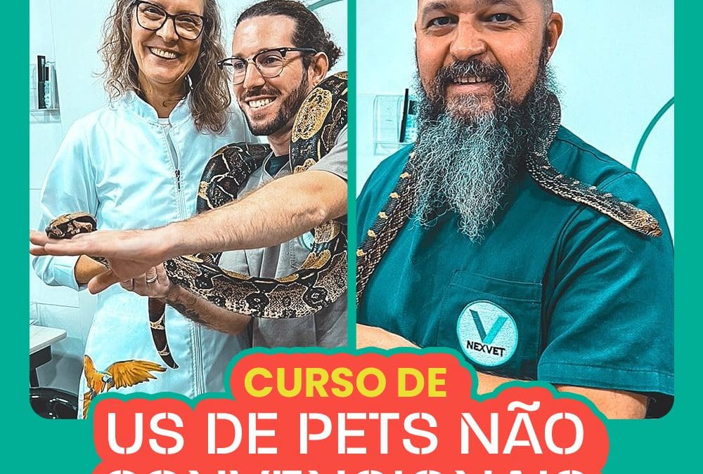 Curso de Ultrassonografia de Pets Não Convencionais