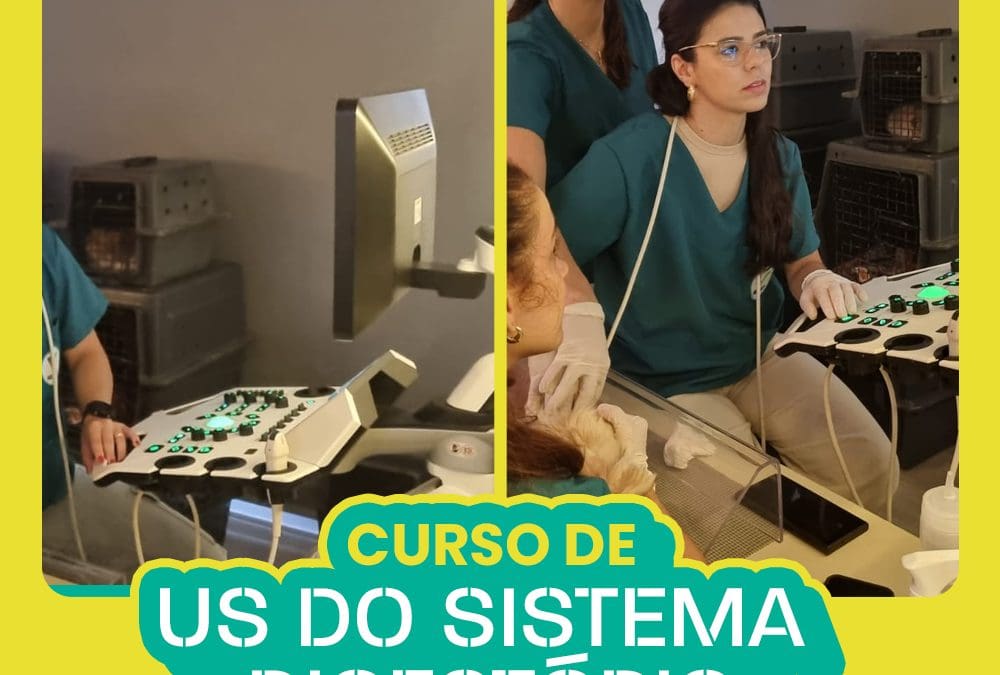 Curso de Ultrassonografia do Sistema Digestório