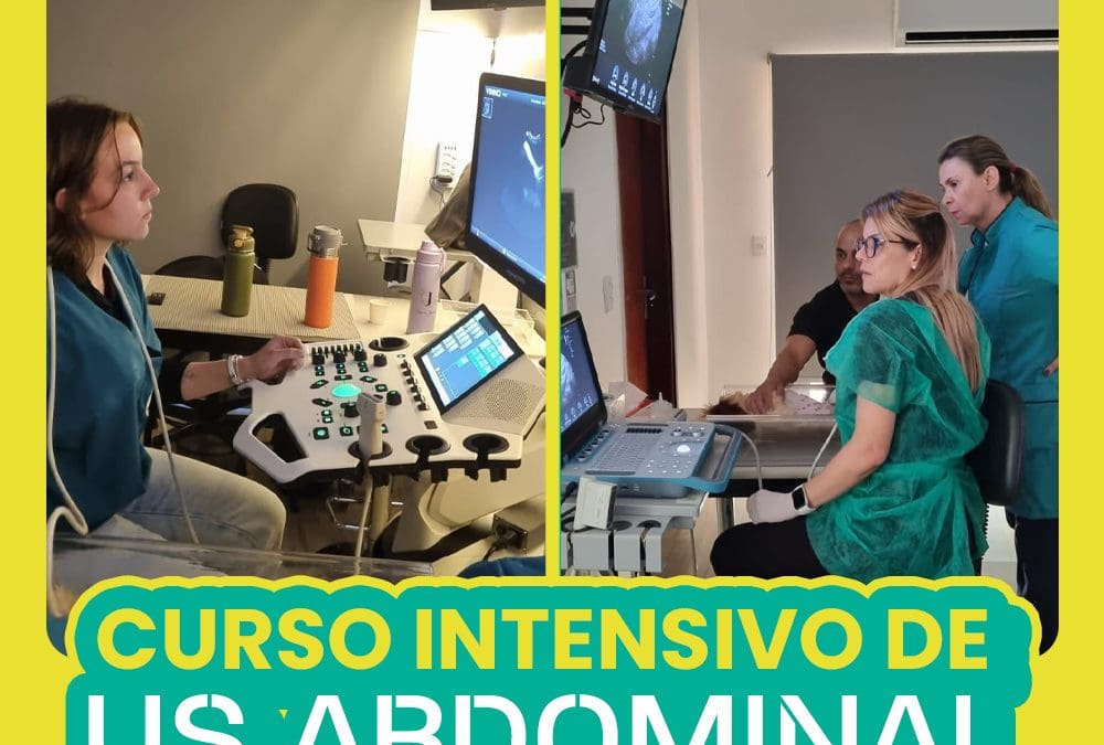 Curso Intensivo de Ultrassonografia Abdominal