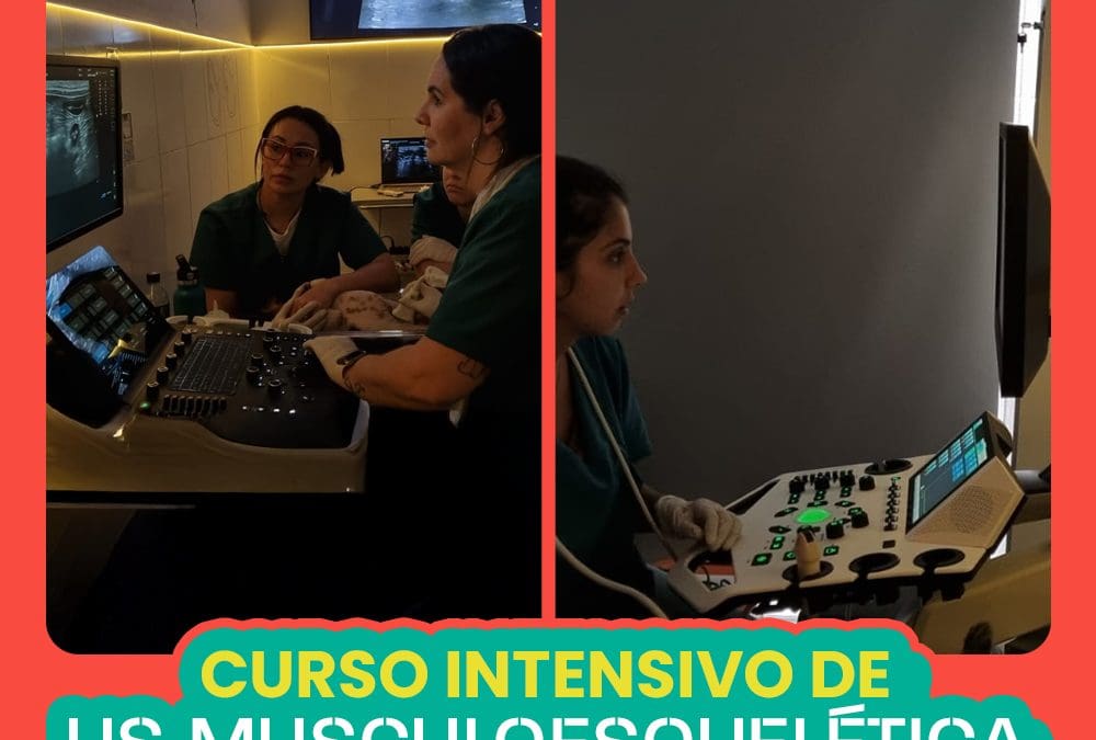 Curso de Ultrassonografia Musculoesquelética