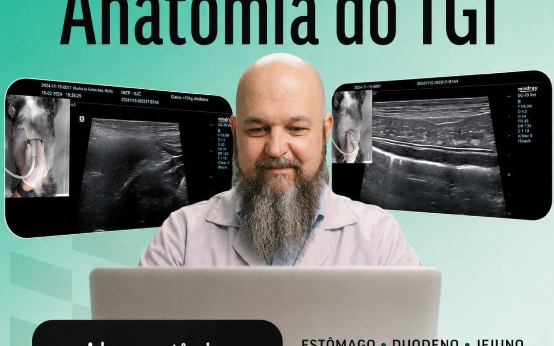 [Minicurso] Anatomia Ultrassonográfica do TGI